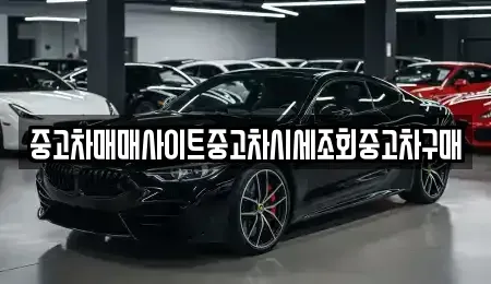 서울특별시 마포구 연남동 중고차 전문 중고차매매사이트중고차시세조회중고차구매