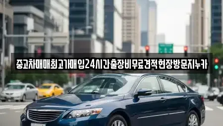 서울특별시 마포구 연남동 중고차 전문 중고차매매최고가매입24시간출장비무료견적현장방문지누카