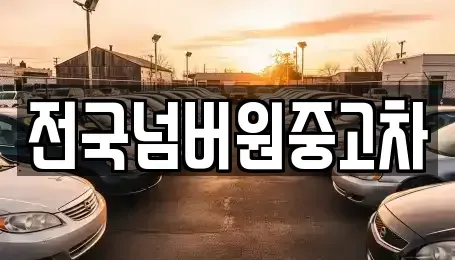 서울특별시 마포구 연남동 중고차매매 전문 전국넘버원중고차