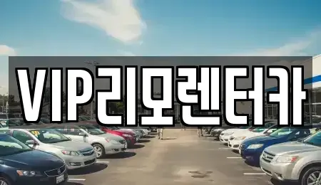 서울특별시 성동구 금호동3가 단기렌트카 전문 VIP리모렌터카