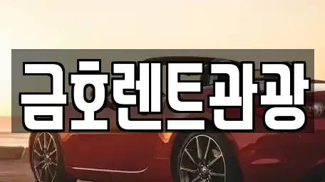 서울특별시 성동구 금호동3가 렌트카 전문 금호렌트관광