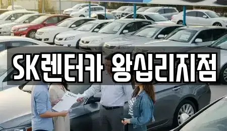 서울특별시 성동구 금호동3가 장기렌트카 전문 SK렌터카 왕십리지점