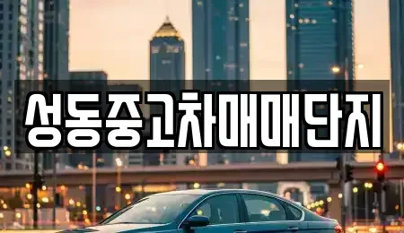 서울특별시 성동구 금호동3가 중고차 전문 성동중고차매매단지