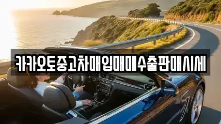 서울특별시 성동구 금호동3가 중고차매입 전문 카카오토중고차매입매매수출판매시세