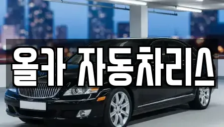 서울특별시 성동구 성수동2가 장기렌트카 전문 올카 자동차리스