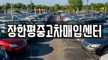 서울특별시 성동구 성수동2가 중고차매입 전문 장한평중고차매입센터