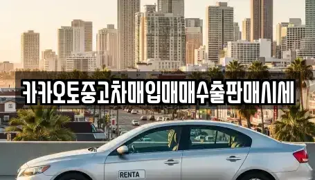 서울특별시 성동구 성수동2가 중고차매입 전문 카카오토중고차매입매매수출판매시세