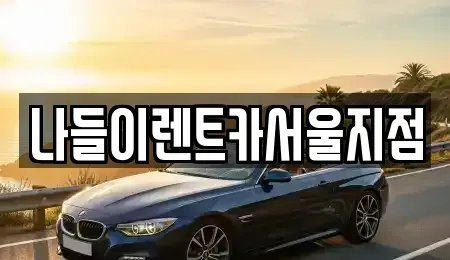 서울특별시 종로구 명륜3가 렌트카 전문 나들이렌트카서울지점