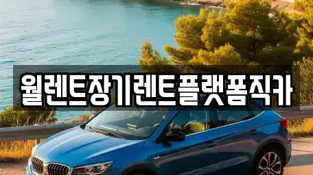 서울특별시 종로구 명륜3가 장기렌트카 전문 월렌트장기렌트플랫폼직카
