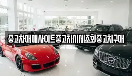 서울특별시 종로구 명륜3가 중고차 전문 중고차매매사이트중고차시세조회중고차구매