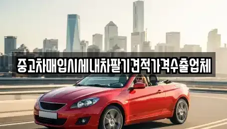 서울특별시 종로구 명륜3가 중고차매입 전문 중고차매입시세내차팔기견적가격수출업체