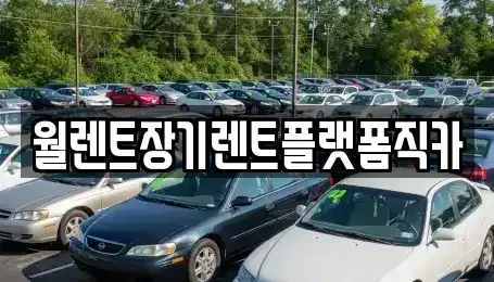 서울특별시 종로구 사간동 렌트카 전문 월렌트장기렌트플랫폼직카