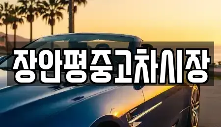 서울특별시 종로구 사간동 중고차매매 전문 장안평중고차시장