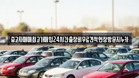 서울특별시 종로구 사간동 중고차매입 전문 중고차매매최고가매입24시간출장비무료견적현장방문지누카