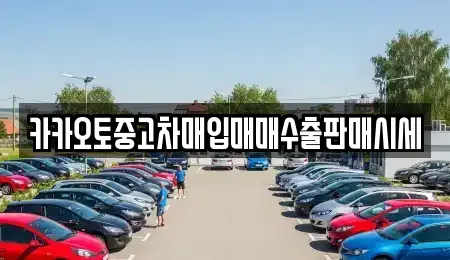 서울특별시 종로구 사간동 중고차매입 전문 카카오토중고차매입매매수출판매시세
