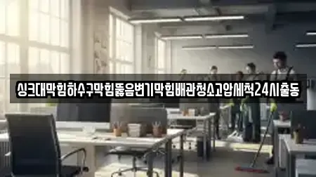 싱크대막힘하수구막힘뚫음변기막힘배관청소고압세척24시출동