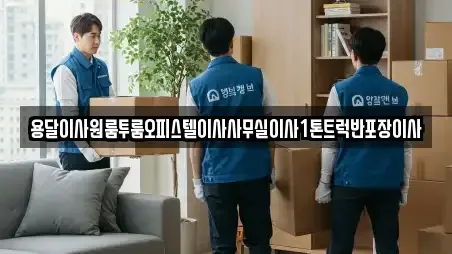 사무실이사전문 전라남도 여수시 군자동 TOP10 업체 리스트