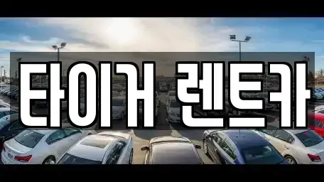 울산광역시 북구 명촌동 렌트카 전문 타이거 렌트카
