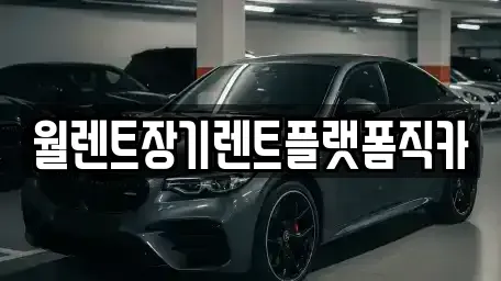 인천 계양구 병방동 렌트카 전문 월렌트장기렌트플랫폼직카