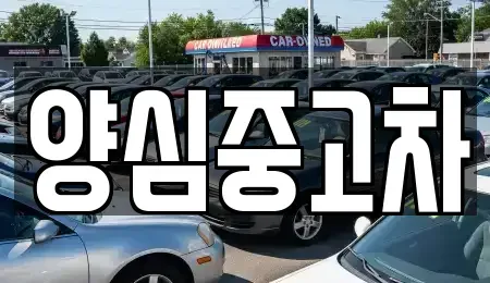 인천 계양구 병방동 중고차 전문 양심중고차