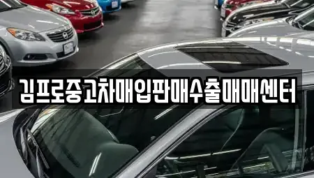 인천 중구 전동 중고차매입 전문 김프로중고차매입판매수출매매센터