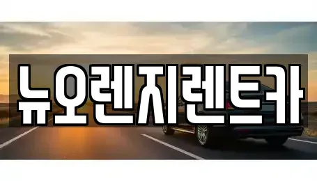 인천광역시 서구 대곡동 렌트카 전문 뉴오렌지렌트카