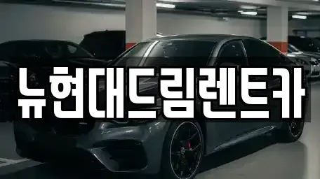 인천광역시 서구 대곡동 렌트카 전문 뉴현대드림렌트카