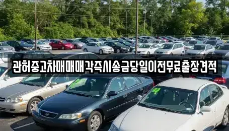 인천광역시 서구 대곡동 중고차 전문 관허중고차매매매각즉시송금당일이전무료출장견적