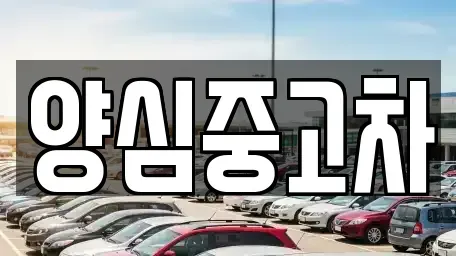 인천광역시 서구 대곡동 중고차 전문 양심중고차