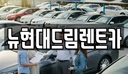 인천광역시 서구 시천동 렌트카 전문 뉴현대드림렌트카