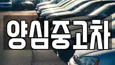 인천광역시 서구 시천동 중고차 전문 양심중고차