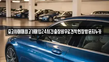 인천광역시 서구 시천동 중고차 전문 중고차매매최고가매입24시간출장비무료견적현장방문지누카