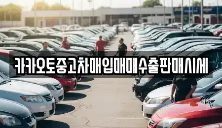인천광역시 서구 시천동 중고차 전문 카카오토중고차매입매매수출판매시세