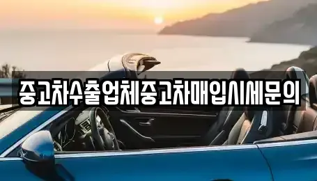 인천광역시 서구 시천동 중고차매입 전문 중고차수출업체중고차매입시세문의