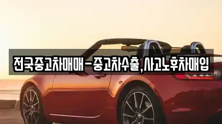 인천광역시 중구 항동1가 중고차 전문 전국중고차매매-중고차수출,사고노후차매입