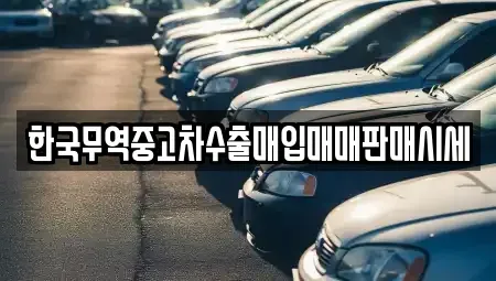 전남 고흥군 도덕면 단기렌트카,중고차매입,중고차매매,중고차,렌트카,장기렌트카