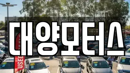 전남 구례군 용방면 중고차 전문 대양모터스