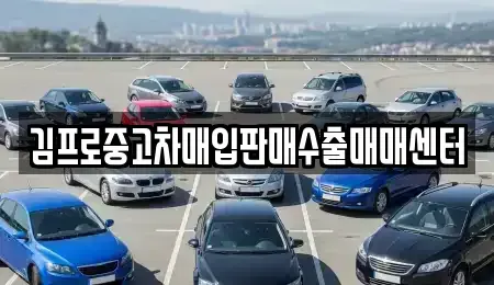 전남 목포시 경동1가 중고차매입 전문 김프로중고차매입판매수출매매센터