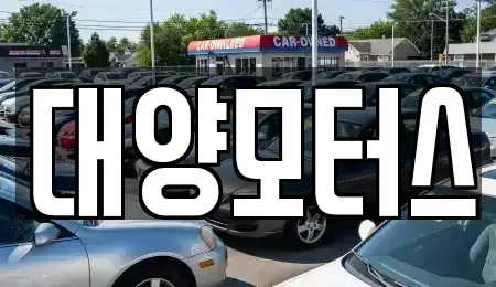 전남 목포시 만호동 중고차매매 전문 대양모터스