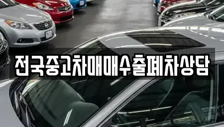 전남 목포시 죽동 중고차매매 전문 전국중고차매매수출폐차상담