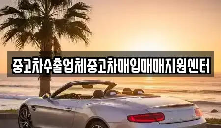 전남 순천시 조례동 중고차매입 전문 중고차수출업체중고차매입매매지원센터