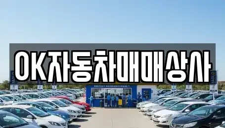 전남 여수시 돌산읍 장기렌트카,중고차,렌트카,단기렌트카,중고차매입,중고차매매