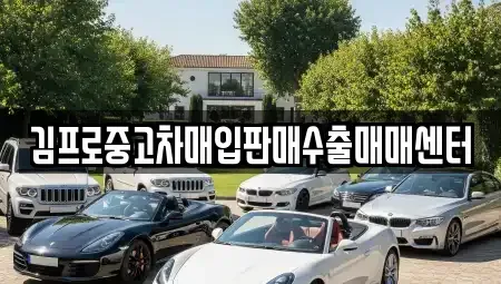 전남 여수시 돌산읍 중고차매입 전문 김프로중고차매입판매수출매매센터