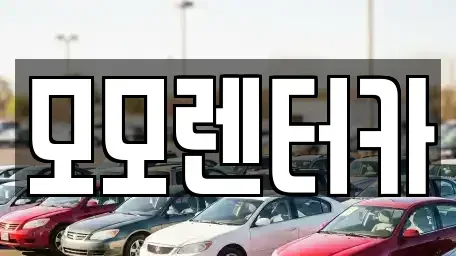 전남 여수시 화정면 렌트카 전문 모모렌터카