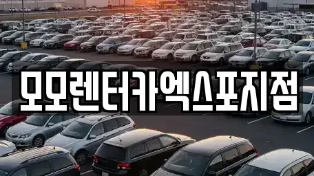 전남 여수시 화정면 렌트카 전문 모모렌터카엑스포지점