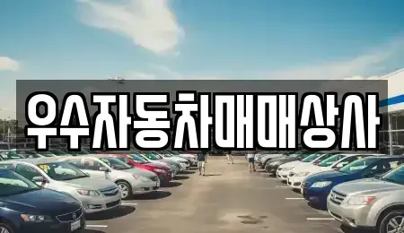전남 여수시 화정면 중고차매매 전문 우수자동차매매상사