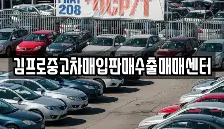 전라남도 나주시 남외동 중고차 전문 김프로중고차매입판매수출매매센터