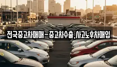 전라남도 목포시 항동 중고차매매 전문 전국중고차매매-중고차수출,사고노후차매입