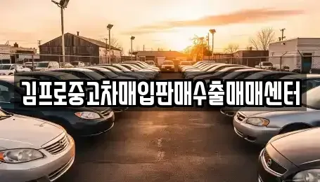 전라남도 목포시 항동 중고차매입 전문 김프로중고차매입판매수출매매센터