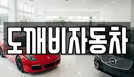 전라남도 순천시 가곡동 중고차매입 전문 도깨비자동차